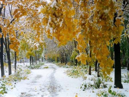 Будут в Украине ли морозы и снег на новогодние праздники: прогноз климатолога