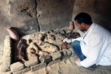 В Египте археологи нашли гробницы с мумиями кошек и скарабеев