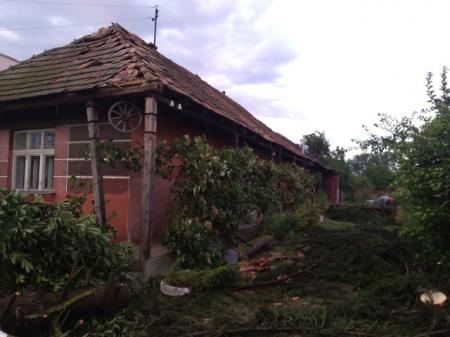 Непогода на Закарпатье: ветер сносил крыши и ломал деревья