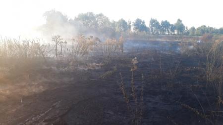 В Черкасской области вспыхнул масштабный пожар на торфяниках 