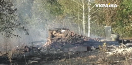 В Житомирской области масштабный пожар уничтожил дачи и 100 гектаров леса 