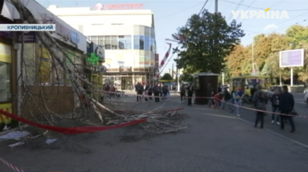 В центре Кропивницкого на женщину рухнуло дерево