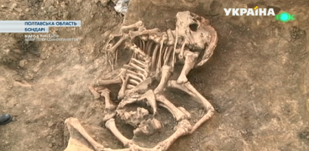 В Полтавской области археологи выкопали древнюю булаву и браслет из волчьих клыков