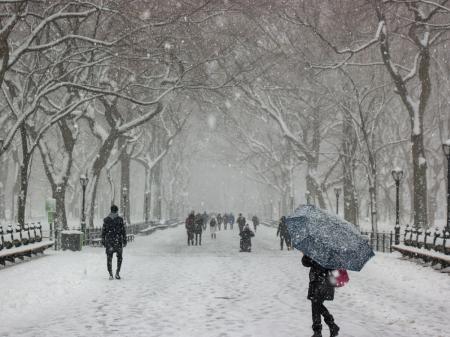 Синоптик рассказал, стоит ли украинцам ждать морозной и снежной зимы