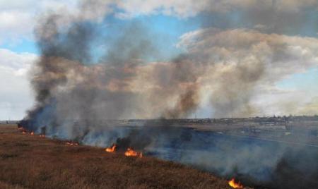 На Одессу наступает масштабный пожар