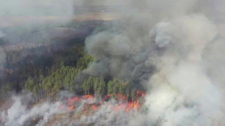 Животные, туристические объекты и склад боеприпасов: власть подсчитывает ущерб от пожаров в Чернобыле