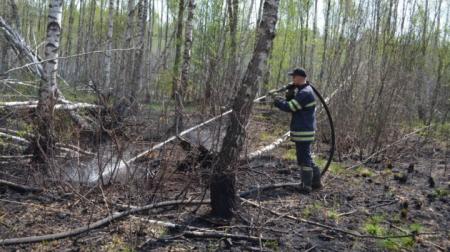 Лесные пожары на территории Чернобыльской зоны в течение трех дней не зафиксированы