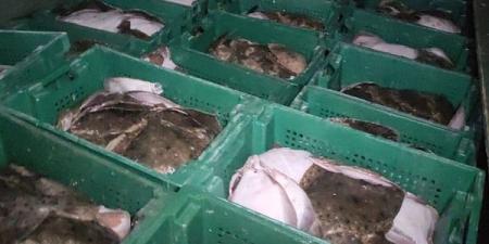 На Азовском море поймали браконьеров с уловом на 1,2 миллиона гривен