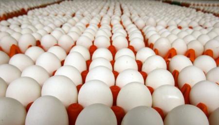 Виробництво яєць в Україні зменшилося на 14,5%
