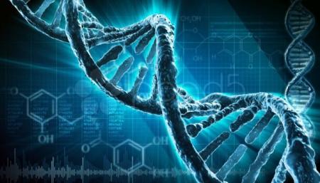 Прорыв в науке: геном человека полностью расшифровали