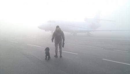 Из-за тумана в столичных аэропортах отменили несколько рейсов