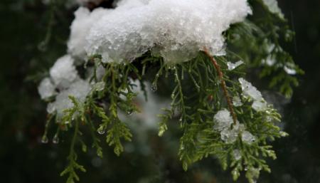 Україні прогнозують плюсову температуру, подекуди мокрий сніг