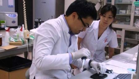 Японським науковцям удалося вакциною знищити ВІЛ в організмі мавп