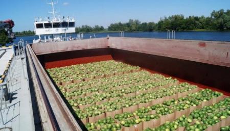 С косточками и без: баржу загружают херсонскими арбузами