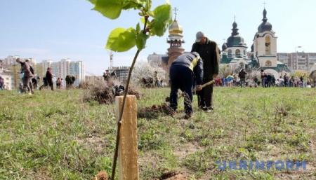 В этом году в Киеве планируют высадить более 100 тысяч деревьев