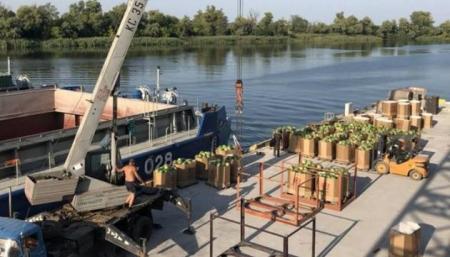 Баржа привезет в Киев в 2 раза больше херсонских арбузов, чем в прошлом году
