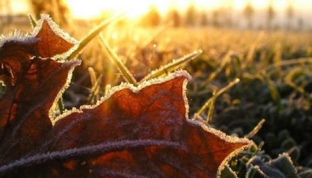 Осень в Украине набирает обороты: надвигаются заморозки