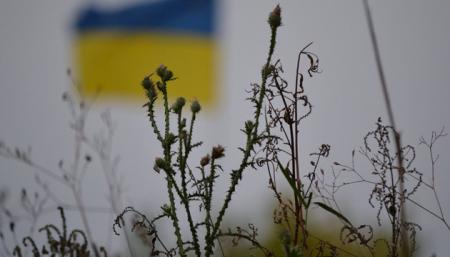 Загарбники могли вбити навіть за український прапор у квартирі - Зеленський