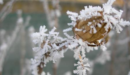 Україні прогнозують морози до -19°