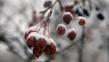 Синоптики предупреждают о сильных дождях со снегом на Закарпатье