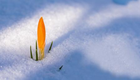 Первый день весны принесет в Украину снег и до 10° тепла