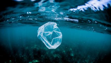 В Средиземное море ежегодно попадает более 200 тысяч тонн пластика