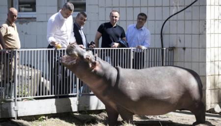В июле откроют первую очередь киевского зоопарка после реконструкции