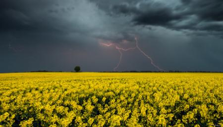 В Україні прогнозують дощі з грозами та зниження температури