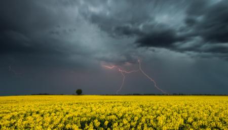 Украинцам обещают “температурные качели” с дождями и грозами