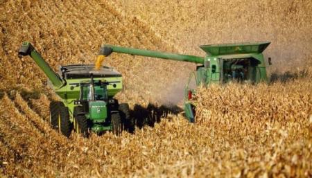 США на миллион тонн понизили прогноз производства кукурузы и пшеницы в Украине