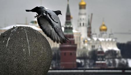 Россия внесла США и Чехию в перечень «недружественных стран»