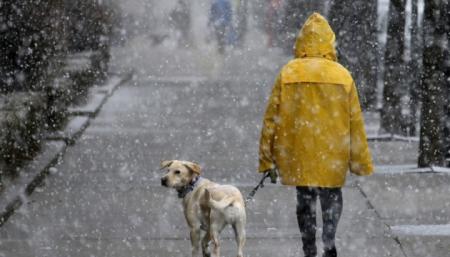 Украине прогнозируют мокрый снег, дождь и гололед