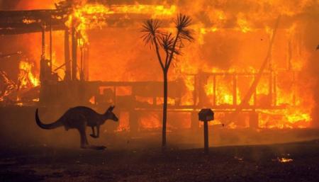 Изменение климата увеличило риск пожаров в Австралии на треть - ученые