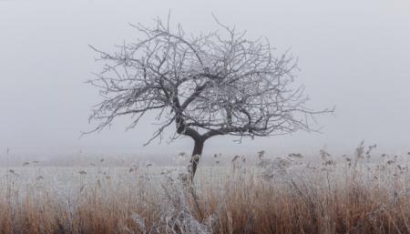 В Украину идет похолодание с мокрым снегом