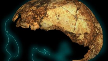 В Африке обнаружили древнейший череп предка Homo sapiens