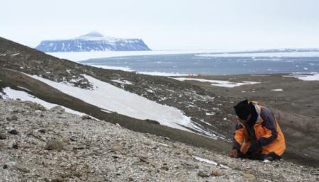 В Антарктиде впервые нашли останки земноводных
