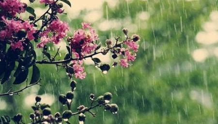 В Україні 28 травня місцями короткочасні дощі, вдень до 23° тепла