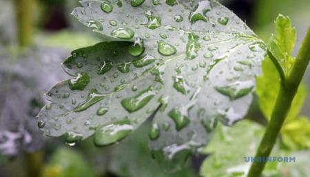 Лето не торопится: синоптики прогнозируют дожди и грозы