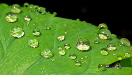 630_360_1591288225-922_29.08.22