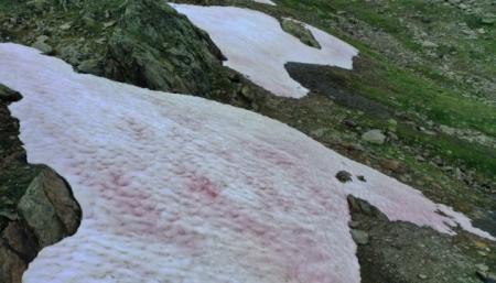 В Альпах появился розовый лед - это может иметь тяжелые последствия для климата