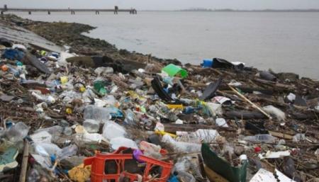 Британская Темза – одна из самых грязных рек мира по уровню микропластика