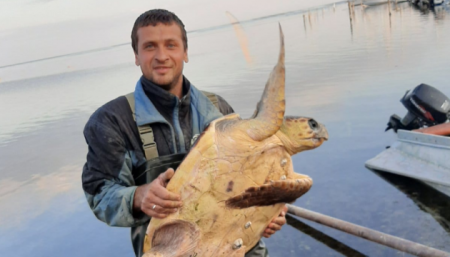 На Херсонщине рыбаки поймали средиземноморскую черепаху