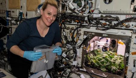 Астронавты NASA впервые собрали в космосе урожай редиса