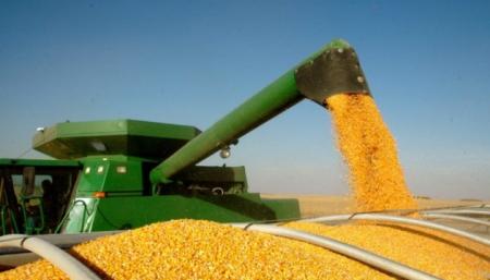 В Украине уже собрали 76,7 миллиона ​​тонн зерна - Минагро