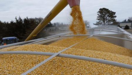 Рекордний урожай майже зібрали — вже є понад 46 мільйонів тонн зерна