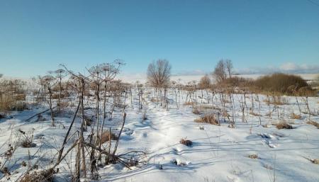 На Житомирщине в поле замерз 17-летний парень