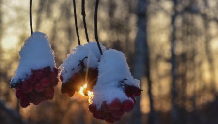 Украине прогнозируют снег и до 15° мороза