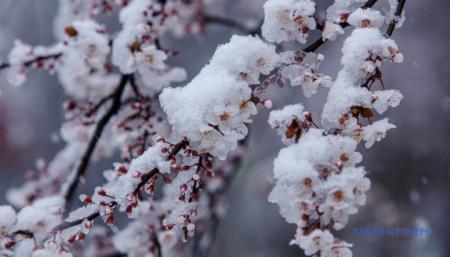 На Благовещение в Украине - холодная погода с дождями и мокрым снегом