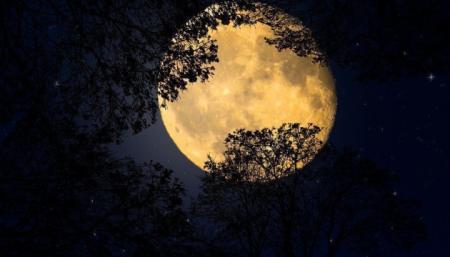 Ночью совпадут «кровавое» суперлуние и лунное затмение. Где смотреть онлайн