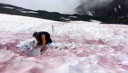 Ученые раскрыли секрет «крови ледников» в Альпах